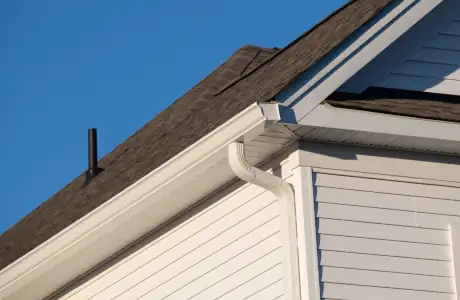 "Pane Free" Service Guarantee gutters